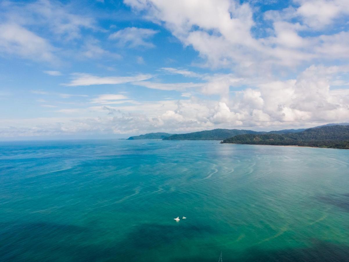 Cotingas Ocean View Villa Drakes Bay Dış mekan fotoğraf